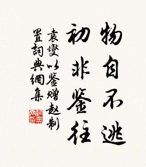 袁燮物自不逃,初非鉴往书法作品欣赏