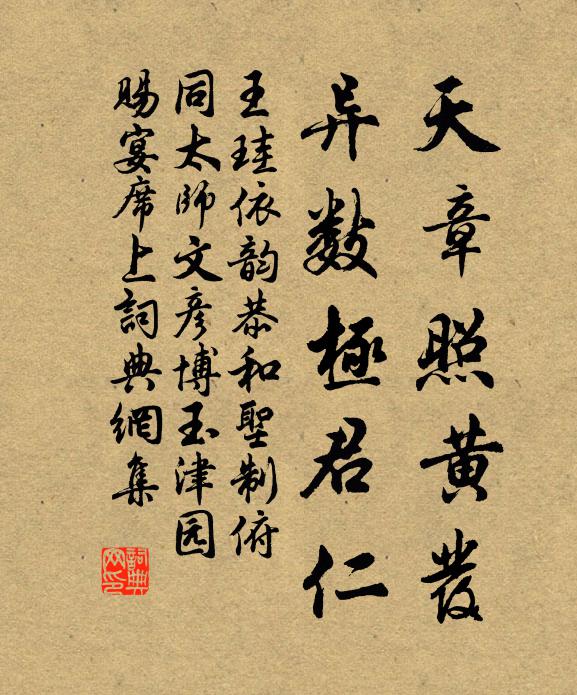 王珪天章照黄发，异数极君仁书法作品欣赏