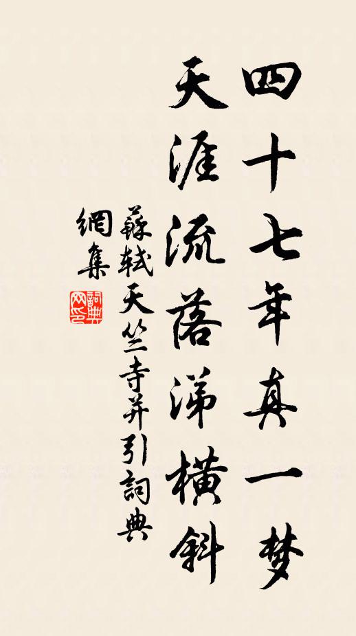 苏轼四十七年真一梦，天涯流落涕横斜书法作品欣赏