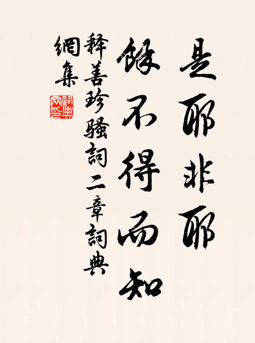 释善珍是耶非耶，余不得而知书法作品欣赏