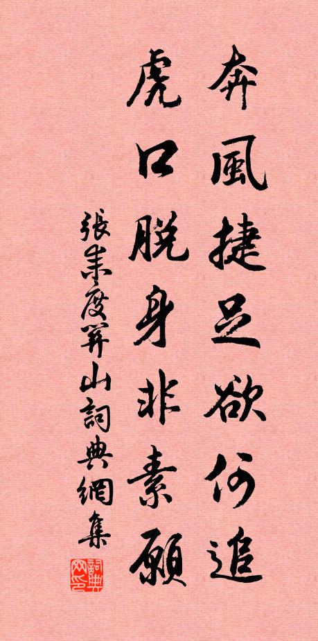 张耒奔风捷足欲何追，虎口脱身非素愿书法作品欣赏