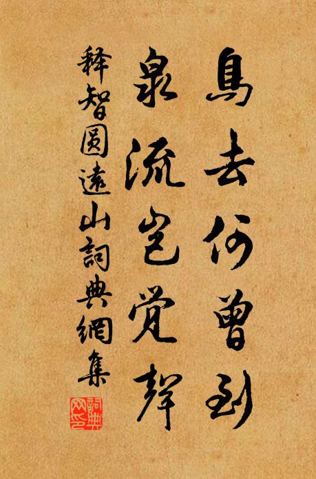 释智圆鸟去何曾到，泉流岂觉声书法作品欣赏