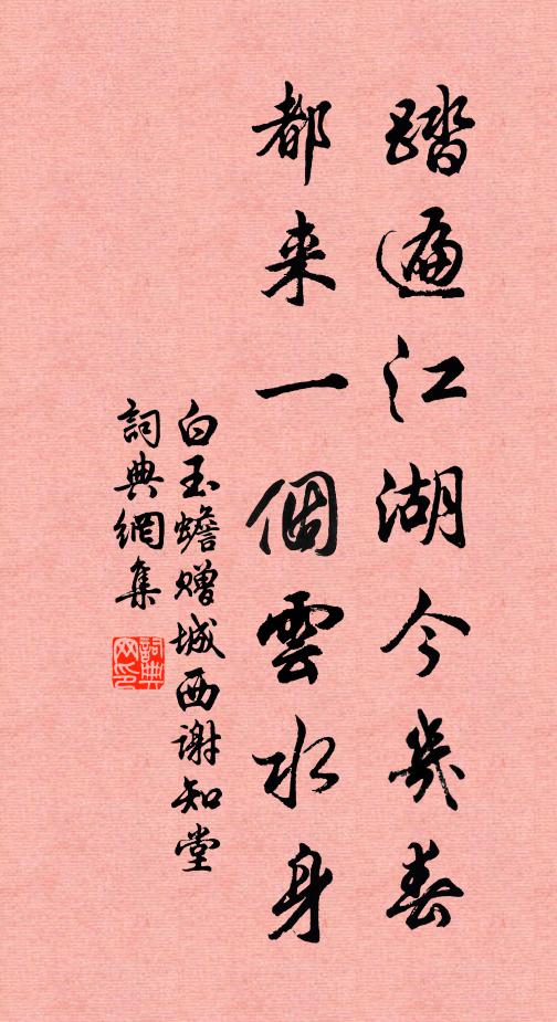 白玉蟾踏遍江湖今几春，都来一个云水身书法作品欣赏