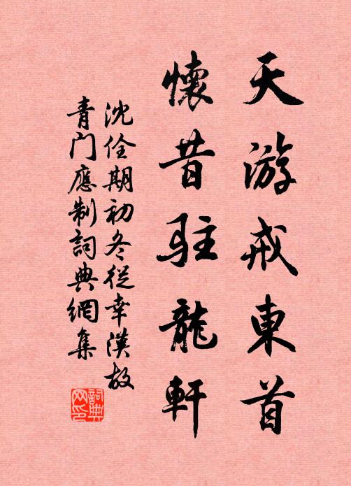 沈佺期天游戒东首，怀昔驻龙轩书法作品欣赏