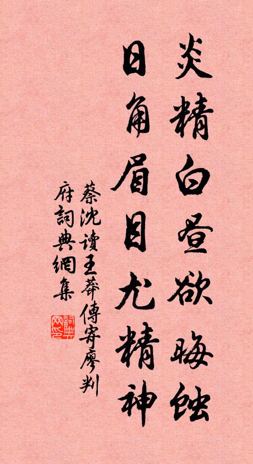 蔡沈炎精白昼欲晦蚀，日角眉目尤精神书法作品欣赏