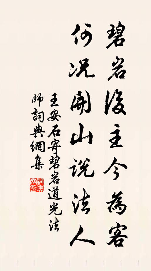 王安石碧岩后主今为客，何况开山说法人书法作品欣赏