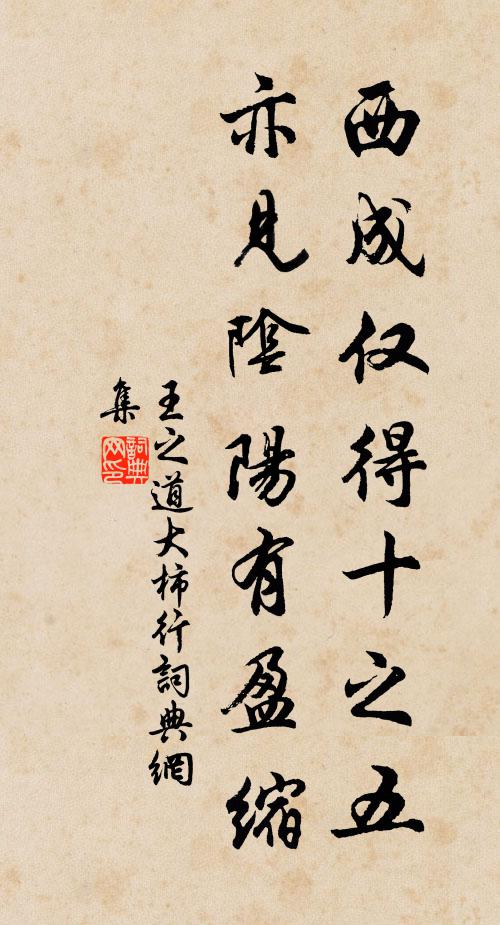 王之道西成仅得十之五，亦见阴阳有盈缩书法作品欣赏