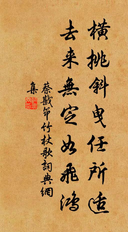 蔡戡横挑斜曳任所适，去来无定如飞鸿书法作品欣赏