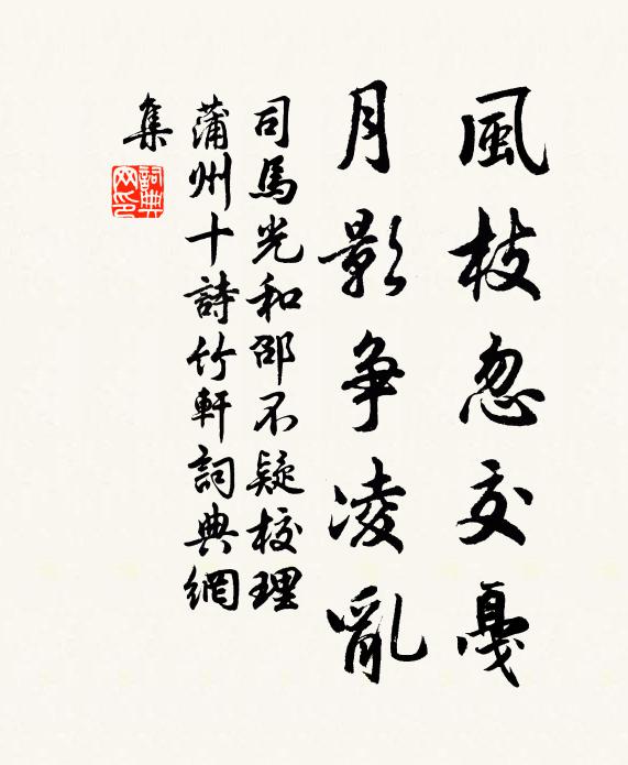 司马光风枝忽交戛，月影争凌乱书法作品欣赏