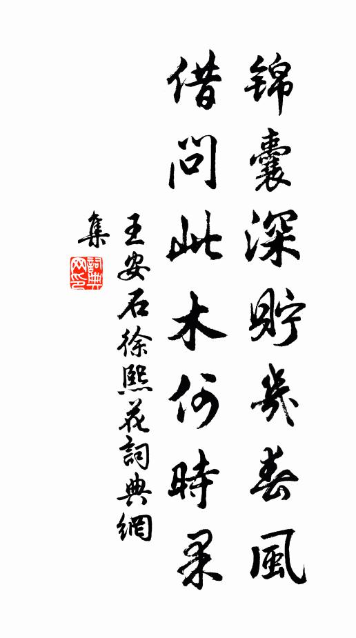 王安石锦囊深贮几春风，借问此木何时果书法作品欣赏