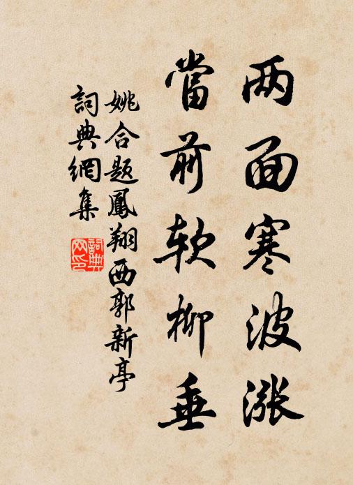 姚合两面寒波涨,当前软柳垂书法作品欣赏
