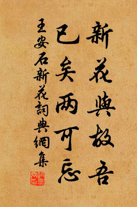 王安石新花与故吾，已矣两可忘书法作品欣赏