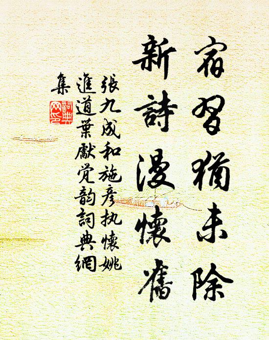 张九成宿习犹未除，新诗漫怀旧书法作品欣赏