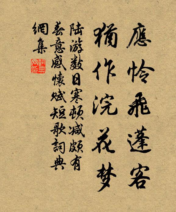 陆游应怜飞蓬客，犹作浣花梦书法作品欣赏