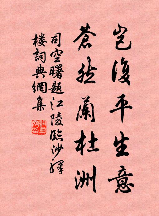 司空曙岂复平生意，苍然兰杜洲书法作品欣赏