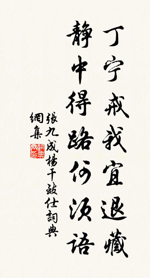 张九成丁宁戒我宜退藏，静中得路何须语书法作品欣赏