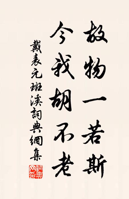 戴表元故物一若斯，今我胡不老书法作品欣赏