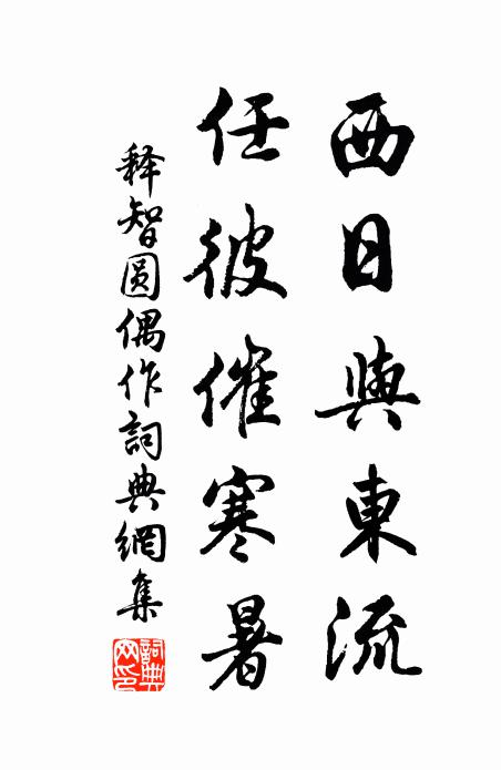 释智圆西日与东流，任彼催寒暑书法作品欣赏