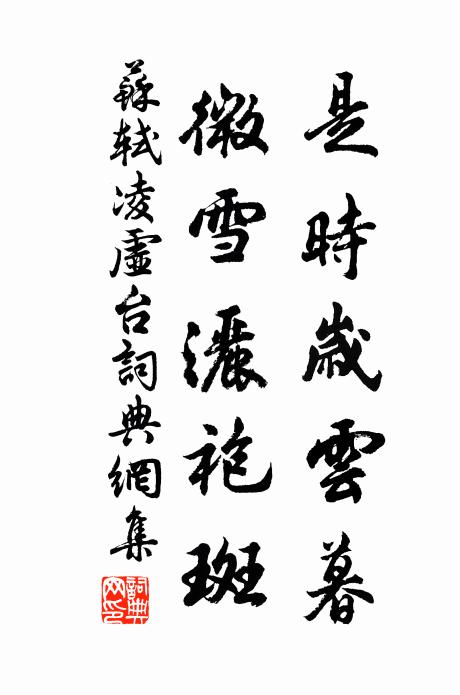 苏轼是时岁云暮，微雪洒袍斑书法作品欣赏