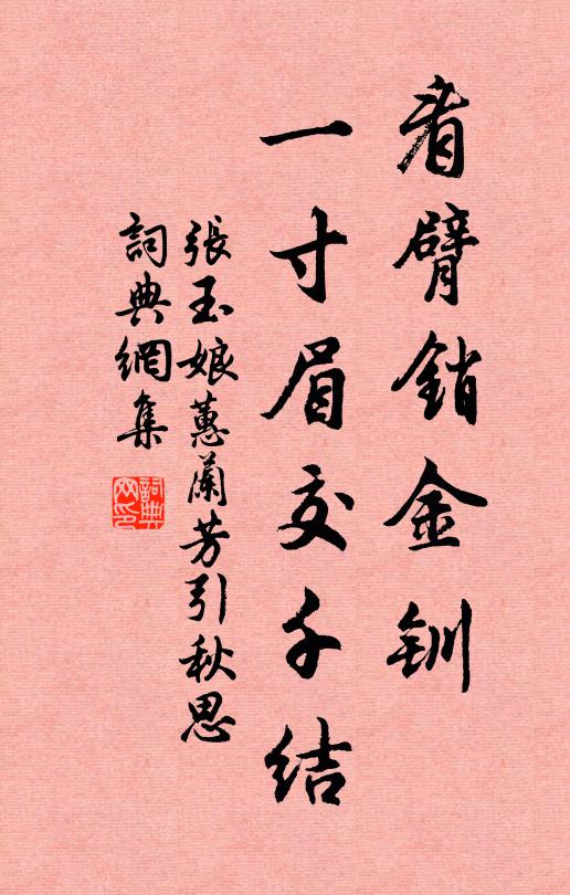 张玉娘看臂销金钏，一寸眉交千结书法作品欣赏
