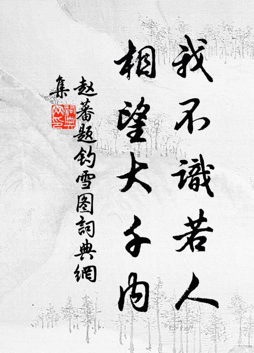 赵蕃我不识若人，相望大千内书法作品欣赏