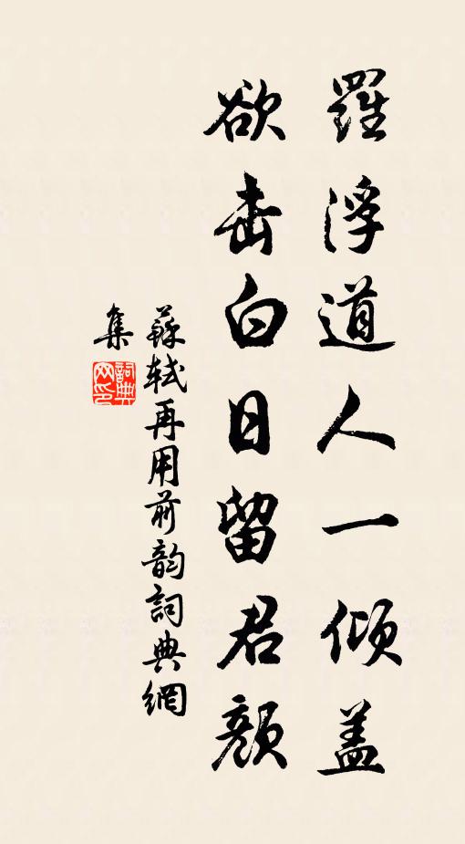 苏轼罗浮道人一倾盖，欲击白日留君颜书法作品欣赏