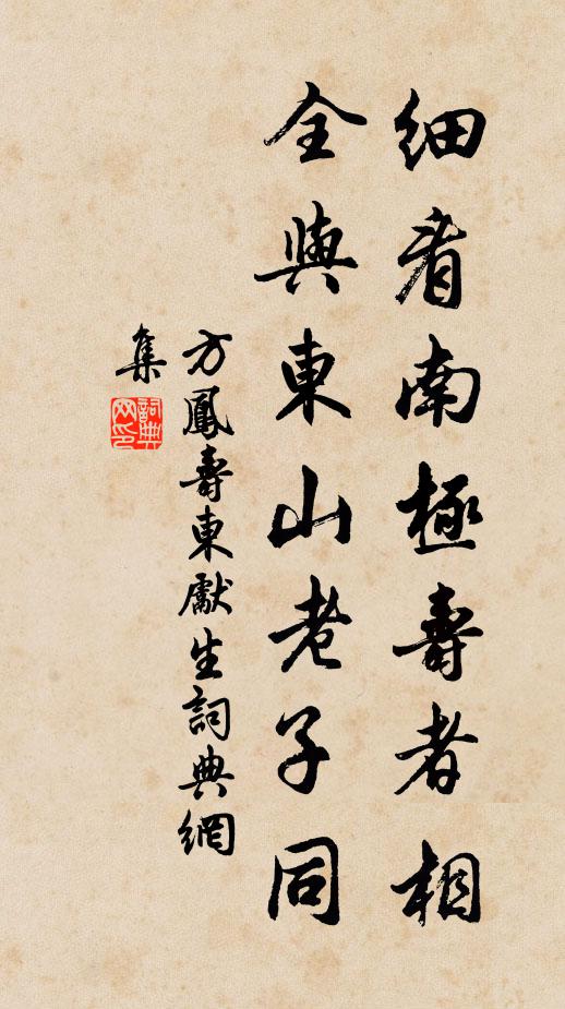 方凤细看南极寿者相，全与东山老子同书法作品欣赏