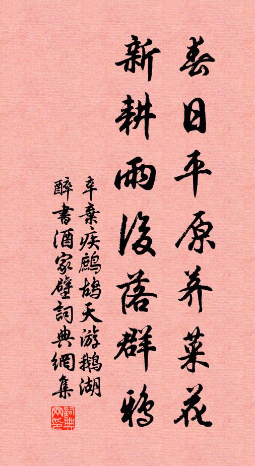 辛弃疾春日平原荠菜花，新耕雨后落群鸦书法作品欣赏