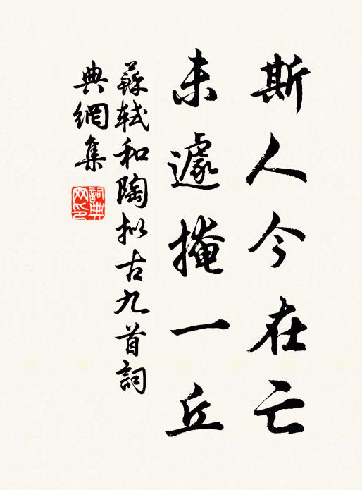 苏轼斯人今在亡，未遽掩一丘书法作品欣赏