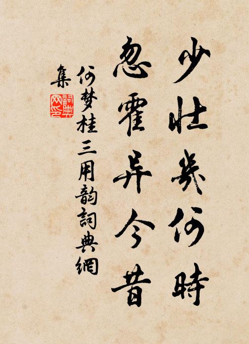 何梦桂少壮几何时，忽霍异今昔书法作品欣赏