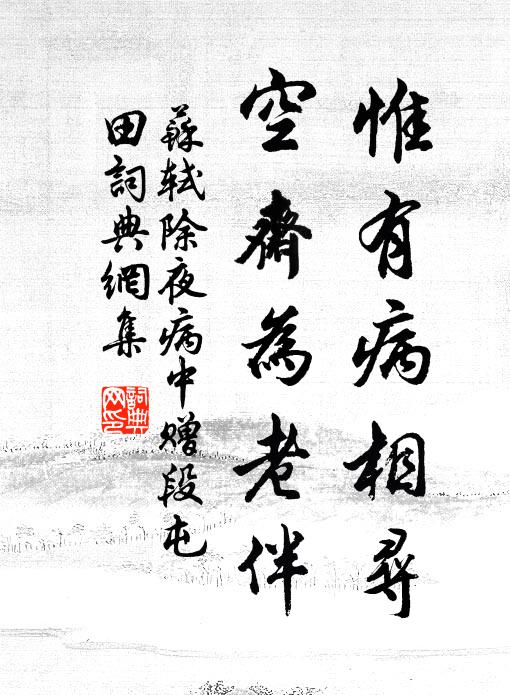 苏轼惟有病相寻，空斋为老伴书法作品欣赏