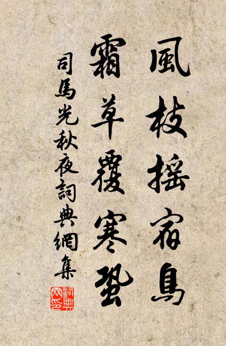 司马光风枝摇宿鸟，霜草覆寒蛩书法作品欣赏