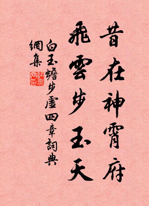 白玉蟾昔在神霄府，飞云步玉天书法作品欣赏