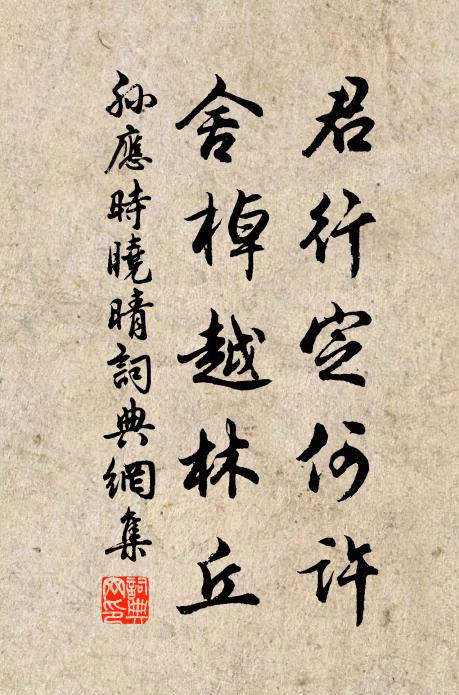 孙应时君行定何许，舍棹越林丘书法作品欣赏