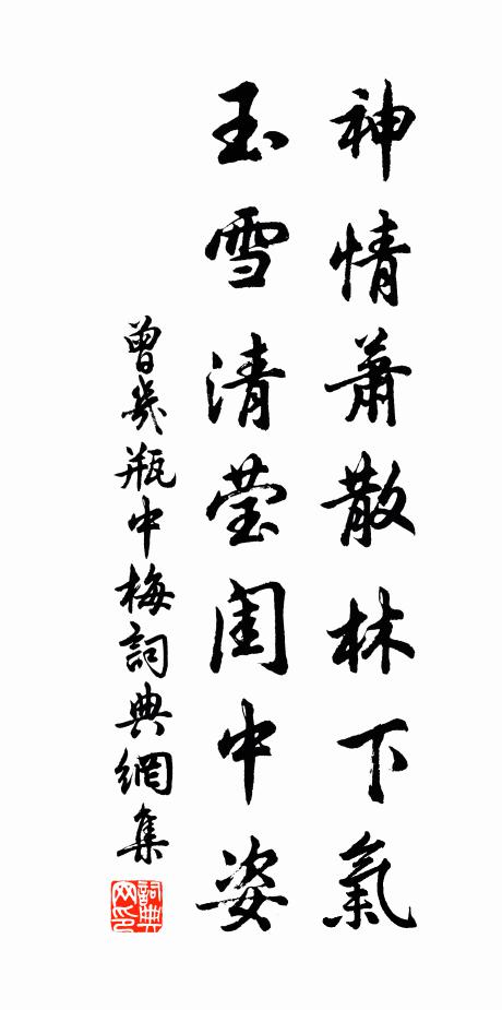 曾几神情萧散林下气，玉雪清莹闺中姿书法作品欣赏