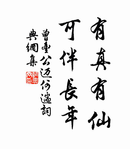 曾丰有真有仙，可伴长年书法作品欣赏