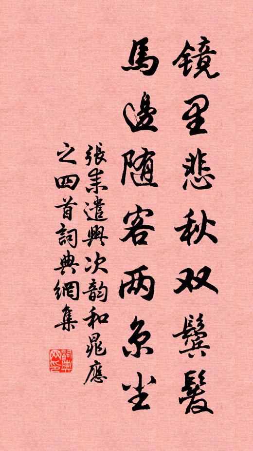 张耒镜里悲秋双鬓发，马边随客两京尘书法作品欣赏