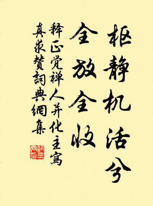 释正觉枢静机活兮，全放全收书法作品欣赏