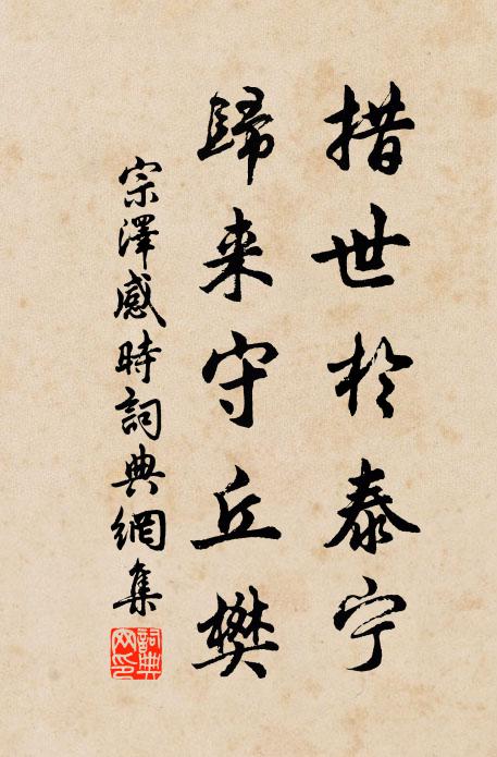 宗泽措世于泰宁，归来守丘樊书法作品欣赏