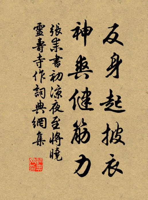 张耒反身起披衣，神爽健筋力书法作品欣赏