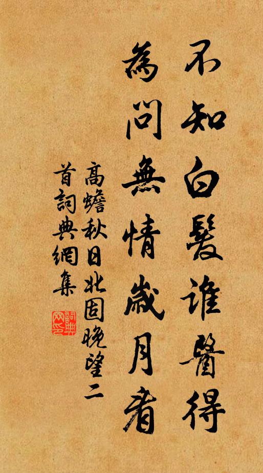 高蟾不知白发谁医得，为问无情岁月看书法作品欣赏