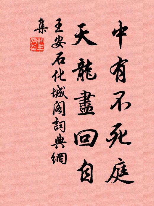 王安石中有不死庭，天龙尽回自书法作品欣赏