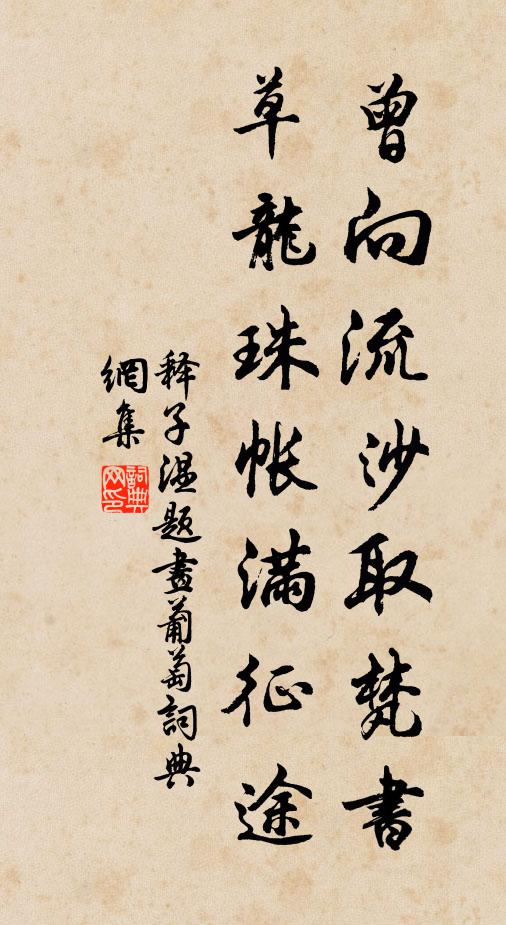释子温曾向流沙取梵书，草龙珠帐满征途书法作品欣赏