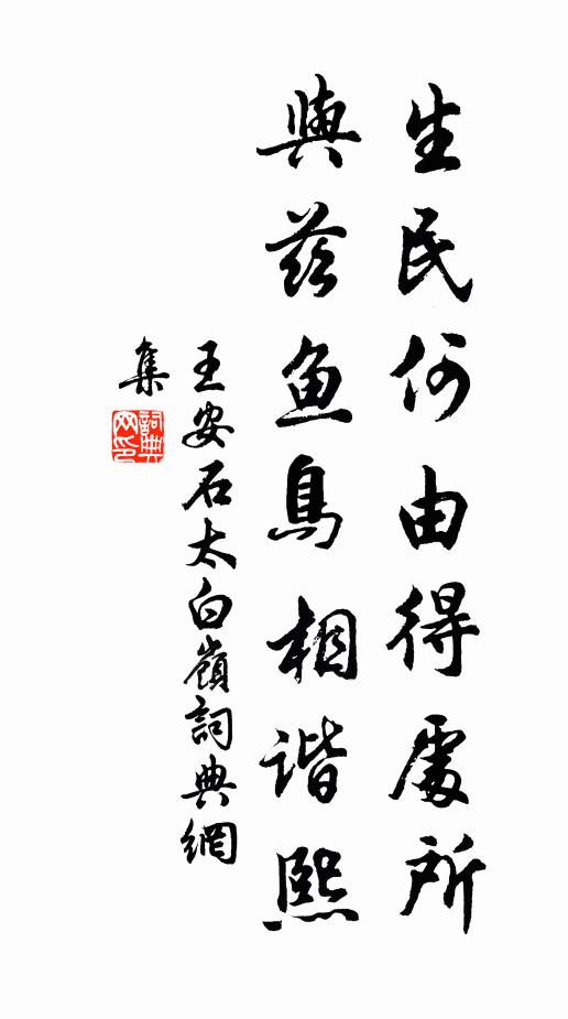 王安石生民何由得处所，与兹鱼鸟相谐熙书法作品欣赏