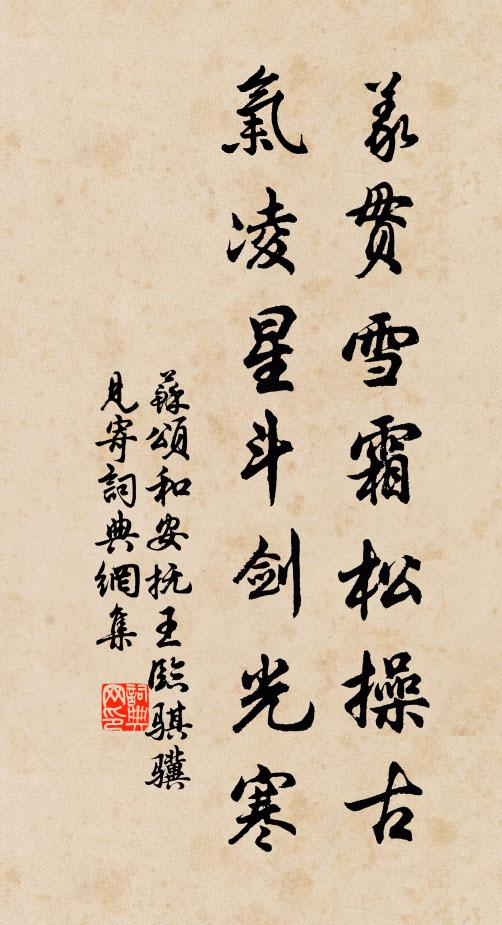 苏颂义贯雪霜松操古，气凌星斗剑光寒书法作品欣赏