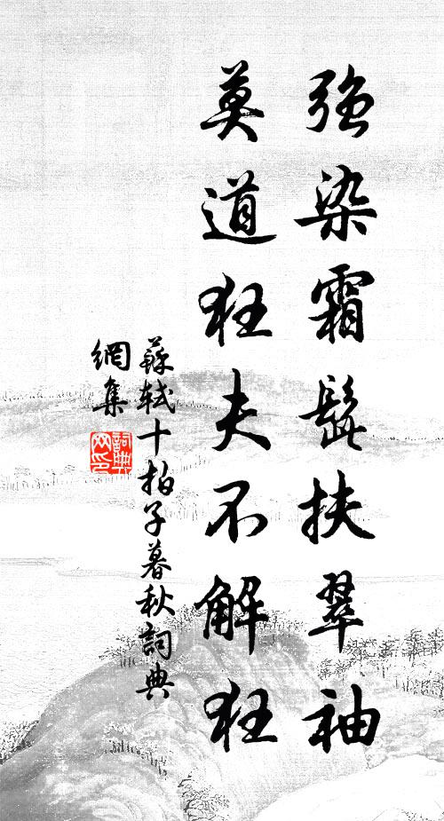苏轼强染霜髭扶翠袖，莫道狂夫不解狂书法作品欣赏