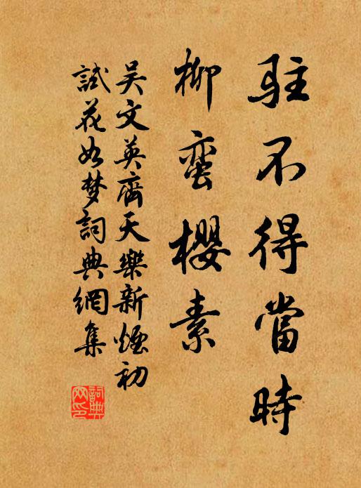 吴文英驻不得当时，柳蛮樱素书法作品欣赏