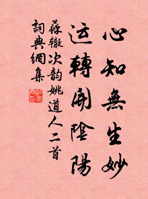 苏辙心知无生妙，运转开阴阳书法作品欣赏