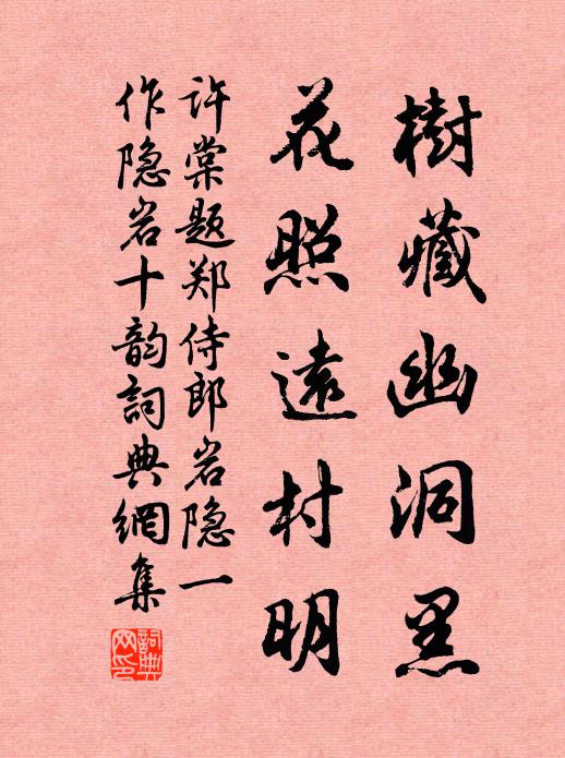 许棠树藏幽洞黑，花照远村明书法作品欣赏