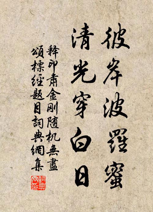 释印肃彼岸波罗蜜，清光穿白日书法作品欣赏